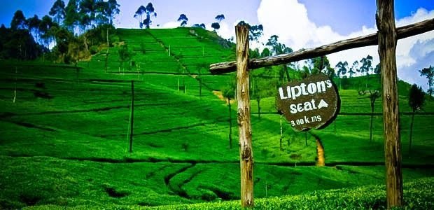 Liptons-Seat-Must-visit-place-in-Sri-Lanka